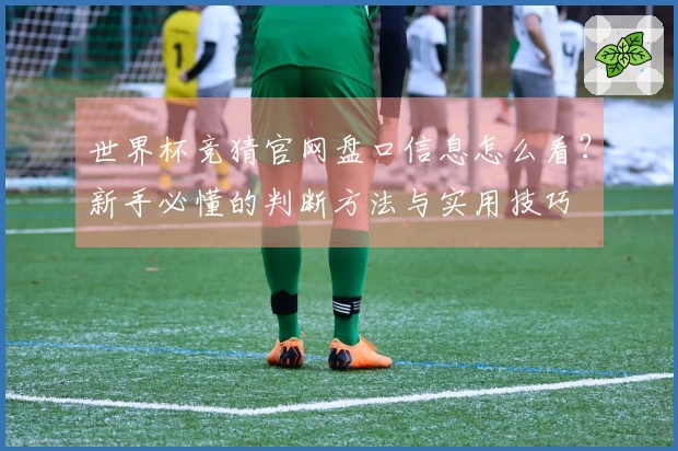 世界杯竞猜官网盘口信息怎么看？新手必懂的判断方法与实用技巧