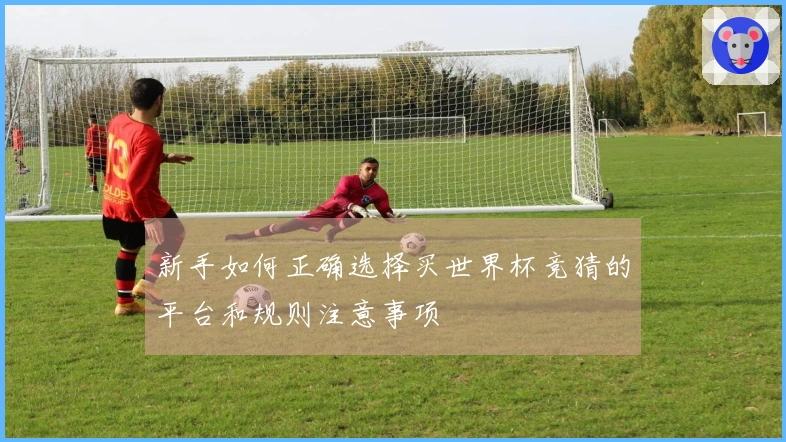 新手如何正确选择买世界杯竞猜的平台和规则注意事项